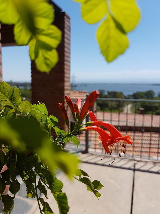 Vistas *